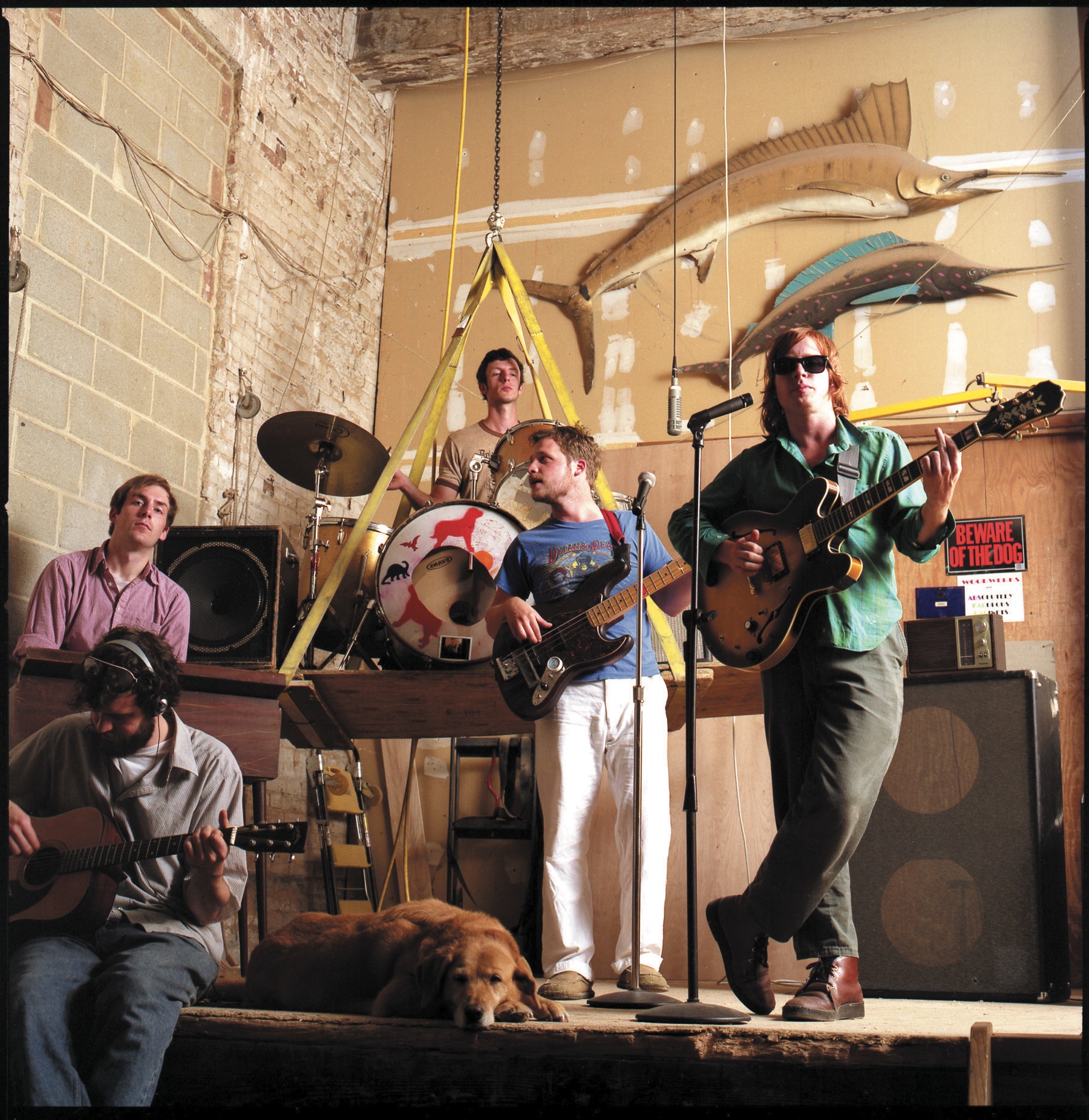 Dr. Dog 