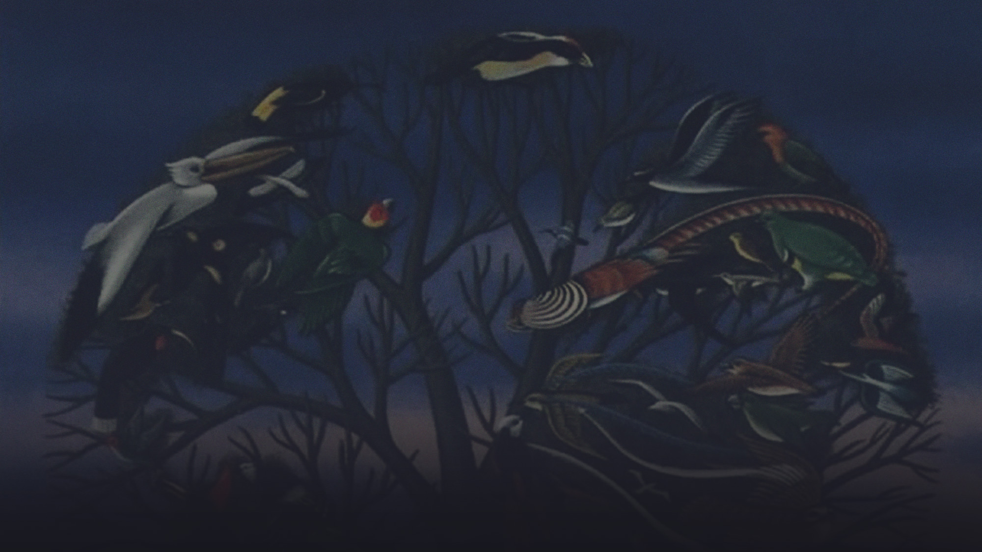 Episode 16 - Episode 16: Beau Sorenson - Hosted by Geoff Stanfield