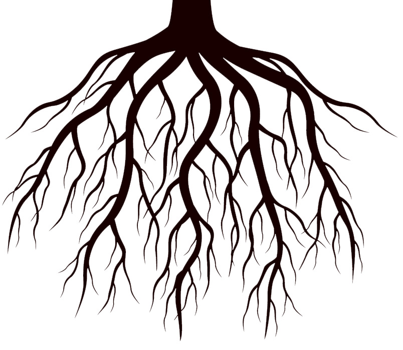 Episode 100 content image