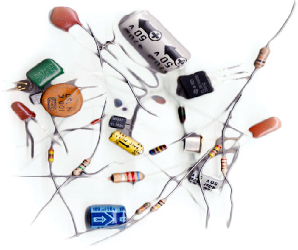 An Endangered Species?