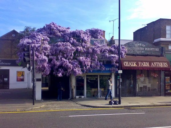 Neil Brockbank (bonus)