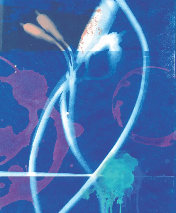 Issue #131 Cover
