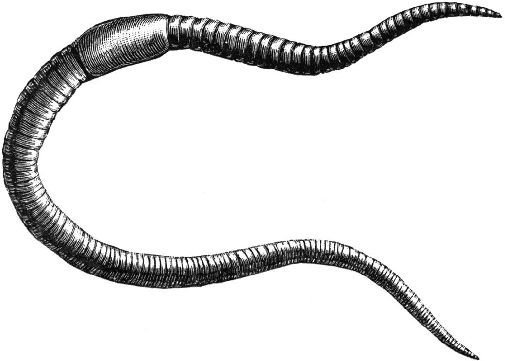 Notes from Under the Ground