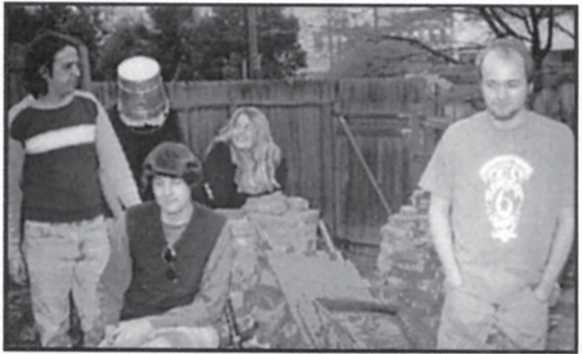 The Apples in Stereo