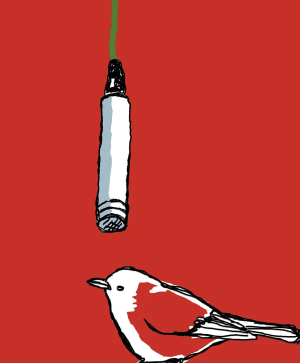 Cover for Issue 45