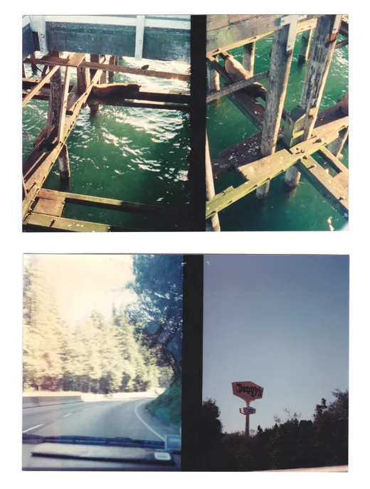 Photo by Cynthia Connolly