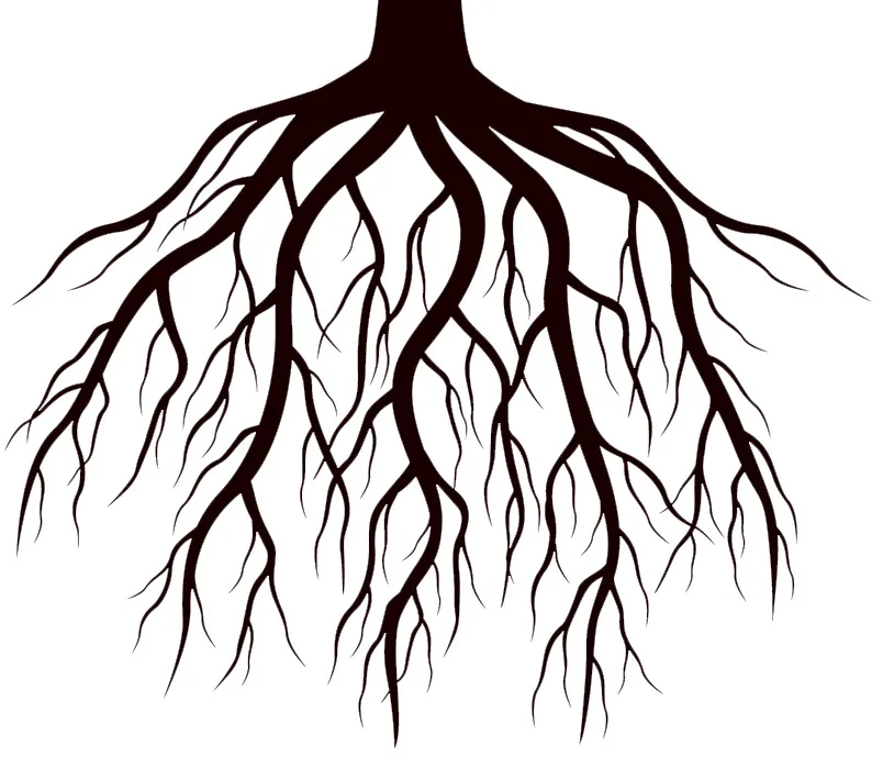 Keep Growing, Keep Learning