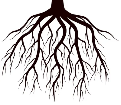 Keep Growing, Keep Learning