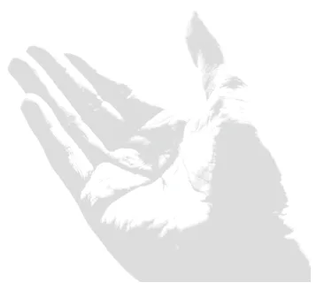 hand