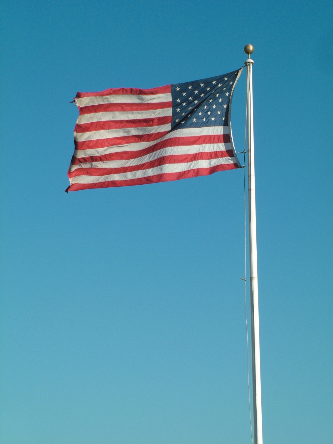 Why Should You Vote?