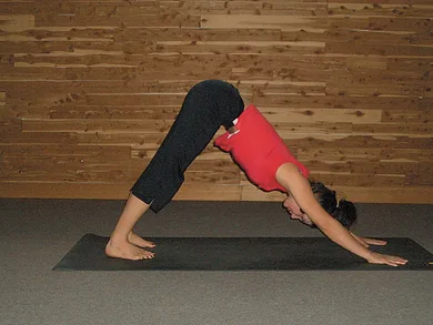 Downward-Facing Dog yoga pose