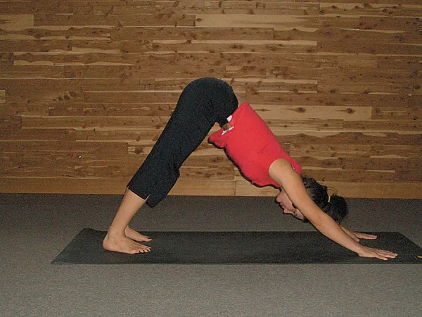 Downward-Facing Dog yoga pose