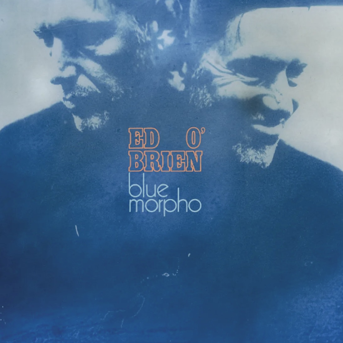 Ed O'Brien: Blue Morpho